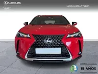 Usado Lexus UX 300h 199 CV (146 kW) 2025 Rojo SUV