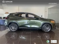 Usado Lexus NX450h+ 292 CV (214 kW) 2026 Verde SUV