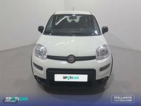 Usado Fiat Panda City Life 70 CV (51 kW) 2021 Blanco Utilitario