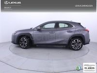 Usado Lexus UX Luxury Line 184 CV (135 kW) 2019 Gris / plata SUV
