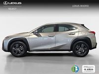 Usado Lexus UX Business Edition 184 CV (135 kW) 2019 Gris SUV