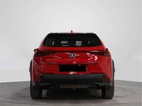 Usado Lexus UX 250h Business Edition 184 CV (135 kW) 2022 SUV