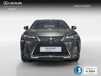 Usado Lexus UX 300e Business Edition 150 kW (204 CV) 2022 Verde SUV