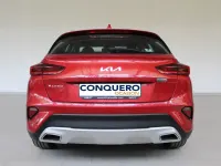 Usado Kia XCeed 141 CV (103 kW) 2022 Rojo SUV