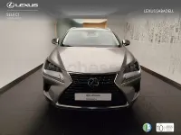 Usado Lexus NX300h Business Edition 197 CV (144 kW) 2018 Gris / plata SUV