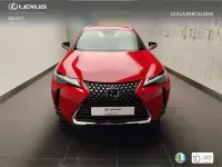 Usado Lexus UX 300h 199 CV (146 kW) 2024 Rojo SUV
