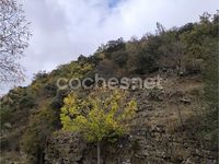 Usado Citroën Xsara Attraction 90 CV (66 kW) 1999 Gris / plata Berlina