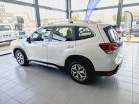 usado Subaru Forester 2.0i Hybrid Sport Plus Cvt