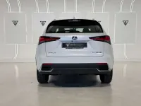Usado Lexus NX300h Business Edition 197 CV (144 kW) 2019 Blanco SUV