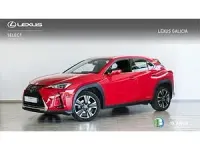 Usado Lexus UX 250h 184 CV (135 kW) 2022 Rojo SUV