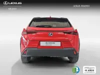 Usado Lexus UX Business Edition 184 CV (135 kW) 2022 Rojo SUV