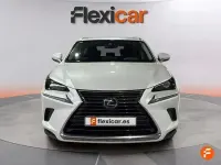 Usado Lexus NX300h Business Edition 197 CV (144 kW) 2020 Blanco SUV