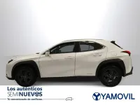 Usado Lexus UX 250h Business Edition 2022 Blanco SUV