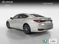 Usado Lexus ES300 218 CV (160 kW) 2022 Beige Berlina