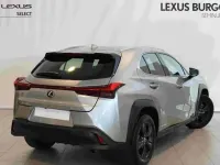 Usado Lexus UX 250h Business Edition 184 CV (135 kW) 2022 Gris SUV