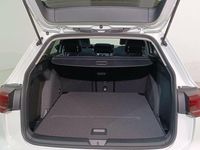 Usado VW Golf VIII Life 116 CV (85 kW) 2024 Blanco Familiar