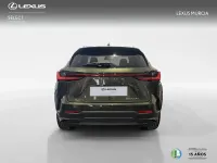 Nuevo Lexus NX450h+ 292 CV (214 kW) 2026 Verde SUV