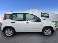 usado Fiat Panda 1.0 Gse Hybrid