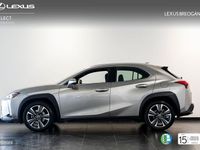 Usado Lexus UX 250h Luxury Line 184 CV (135 kW) 2019 Gris SUV