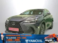 Usado Lexus NX300h Business Edition 242 CV (177 kW) 2022 Gris SUV