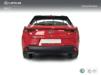 Usado Lexus UX 250h Business Edition 184 CV (135 kW) 2022 Rojo SUV