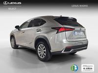 Usado Lexus NX300h Business Edition 197 CV (144 kW) 2021 Gris SUV