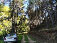 Usado Citroën Xsara Attraction 90 CV (66 kW) 1999 Gris / plata Berlina