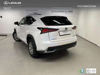 usado Lexus NX300 300h Business 2WD