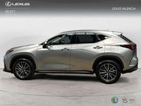 Usado Lexus NX450h+ 309 CV (227 kW) 2025 Gris SUV