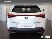 usado Lexus UX 250h Business 2WD