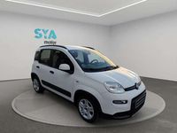 Usado Fiat Panda City Life 69 CV (50 kW) 2023 Blanco Utilitario