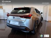 Usado Lexus UX 250h Business Edition 2019 Plateado SUV
