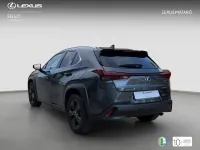 Usado Lexus UX Business Edition 184 CV (135 kW) 2022 Gris SUV