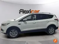 Usado Ford Kuga Trend 120 CV (88 kW) 2019 Blanco SUV