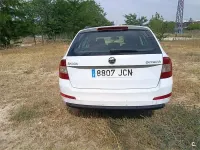 Usado Skoda Octavia Active 105 CV (77 kW) 2015 Blanco Familiar