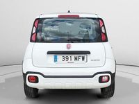 Usado Fiat Panda Cross Cross 69 CV (50 kW) 2023 Utilitario