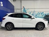 Usado Ford Kuga ST-Line 225 CV (165 kW) 2023 Blanco SUV