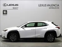 Usado Lexus UX 300e Business Edition 150 kW (204 CV) 2022 Blanco SUV
