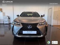 Usado Lexus UX 250h Business Edition 184 CV (135 kW) 2022 Plateado SUV