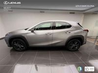 usado Lexus UX 250h Business City 2WD