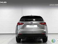 usado Lexus NX300 300h Corporate 2WD + Navibox