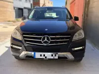 Usado Mercedes ML250 204 CV (150 kW) 2013 Azul SUV