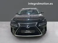 Usado Lexus NX300h Business Edition 197 CV (144 kW) 2020 Negro SUV
