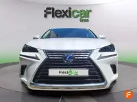 Usado Lexus NX300h Executive Line 197 CV (144 kW) 2019 Blanco SUV