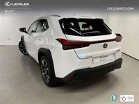 usado Lexus UX 250h Executive Navigation 2WD