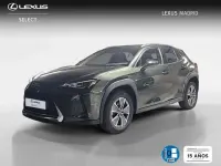 Usado Lexus UX 300e Business Edition 150 kW (204 CV) 2022 Verde SUV