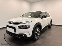 Usado Citroën C4 Cactus Shine 100 CV (73 kW) 2020 Blanco Utilitario