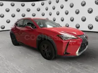 Usado Lexus UX Business Edition 184 CV (135 kW) 2019 Rojo SUV