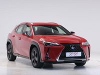 usado Lexus UX 250h Business Navigation 2wd