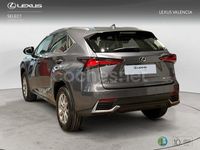 Usado Lexus NX300h Business Edition 197 CV (144 kW) 2020 Gris / plata SUV